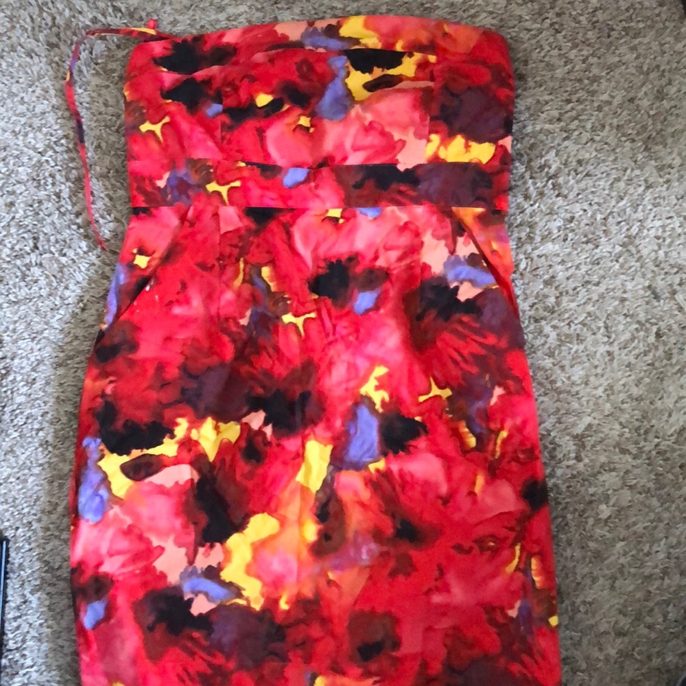 Sleeveless Shell Spandex Dress